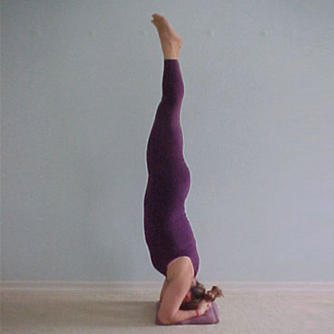 Asanas ou Posturas | Yoga Ananda: Centro de Estudos e Pilates - Zona norte - SP