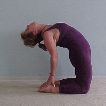 Asanas ou Posturas | Yoga Ananda: Centro de Estudos e Pilates - Zona norte - SP