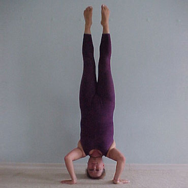 Asanas ou Posturas | Yoga Ananda: Centro de Estudos e Pilates - Zona norte - SP