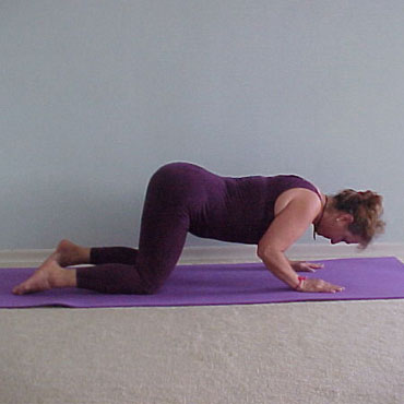 Asanas ou Posturas | Yoga Ananda: Centro de Estudos e Pilates - Zona norte - SP