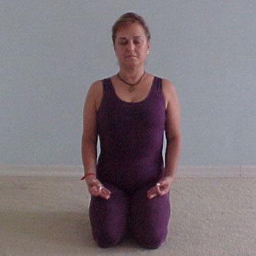 Asanas ou Posturas | Yoga Ananda: Centro de Estudos e Pilates - Zona norte - SP