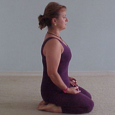 Asanas ou Posturas | Yoga Ananda: Centro de Estudos e Pilates - Zona norte - SP