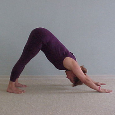 Asanas ou Posturas | Yoga Ananda: Centro de Estudos e Pilates - Zona norte - SP