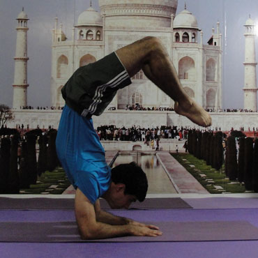 Asanas | Sala de Yoga - Yoga Ananda: Centro de Estudos e Pilates - Zona Norte - SP